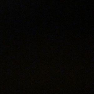 Meet your Posher, Mya